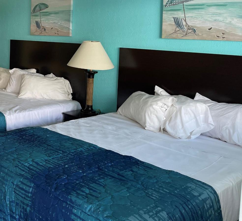 شمال وايلدوود Bird Of Paradise Motel المظهر الخارجي الصورة