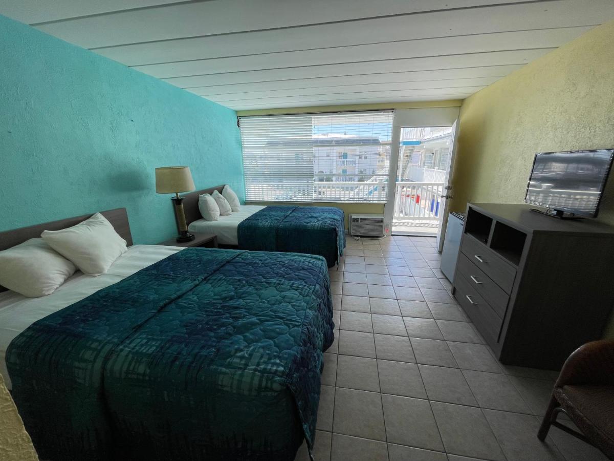 شمال وايلدوود Bird Of Paradise Motel المظهر الخارجي الصورة