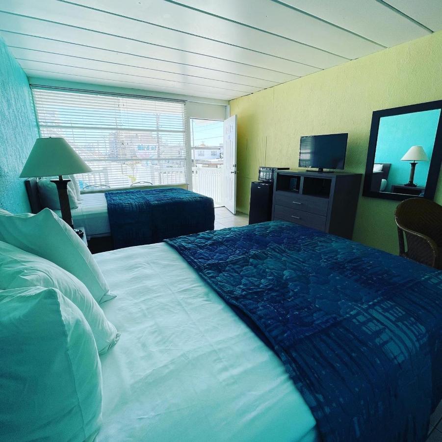شمال وايلدوود Bird Of Paradise Motel المظهر الخارجي الصورة