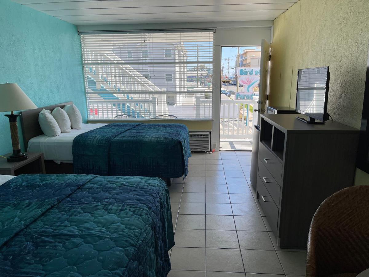 شمال وايلدوود Bird Of Paradise Motel المظهر الخارجي الصورة