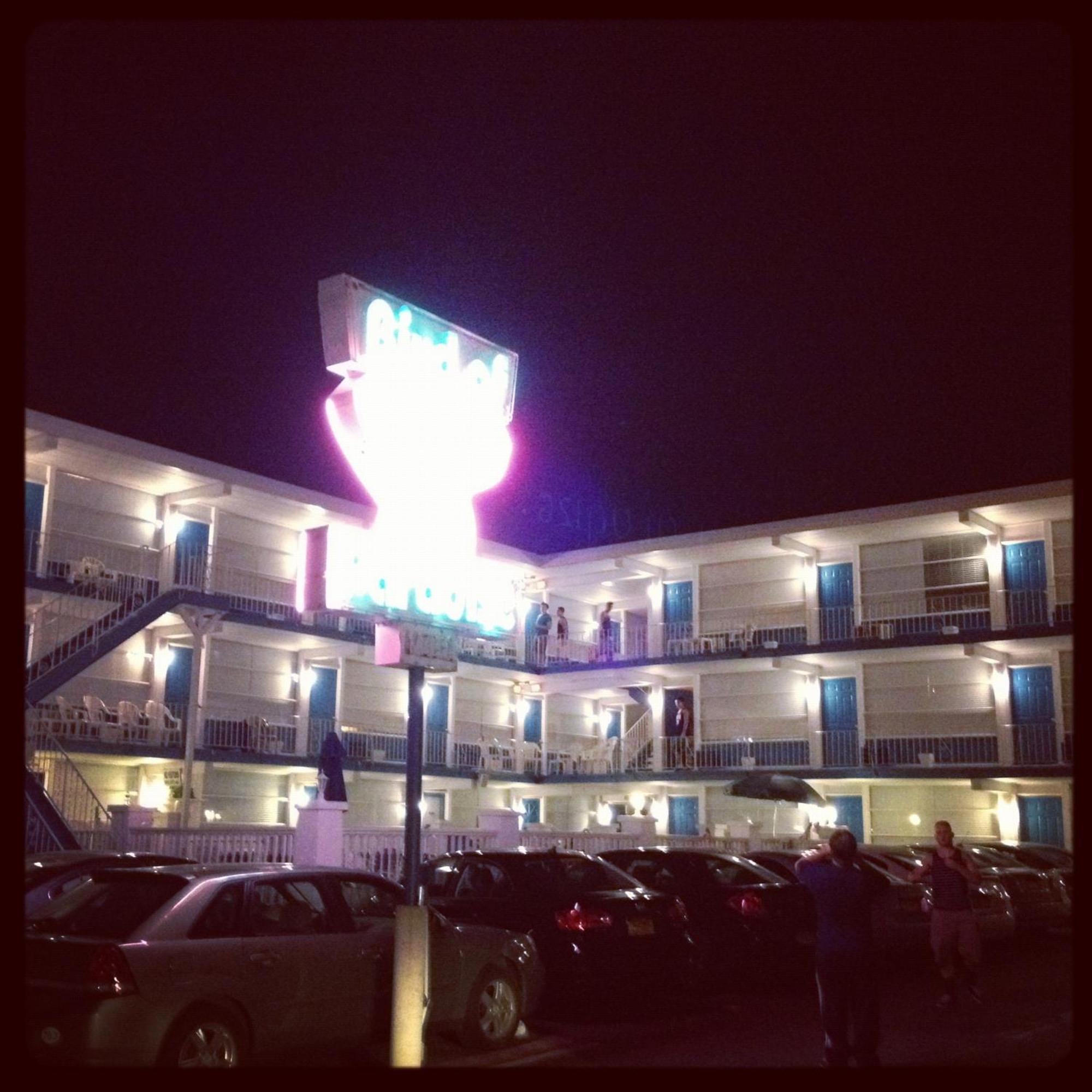 شمال وايلدوود Bird Of Paradise Motel المظهر الخارجي الصورة