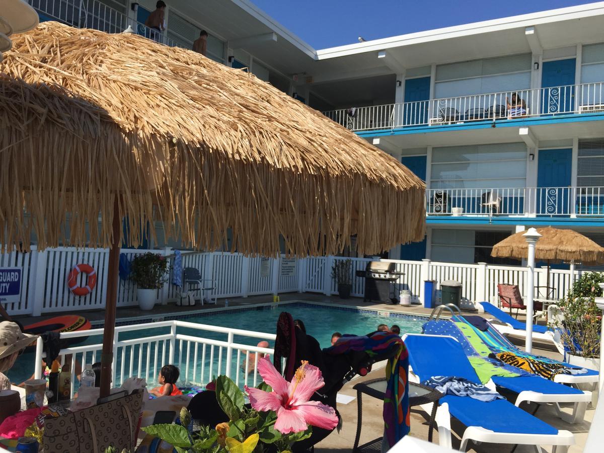 شمال وايلدوود Bird Of Paradise Motel المظهر الخارجي الصورة