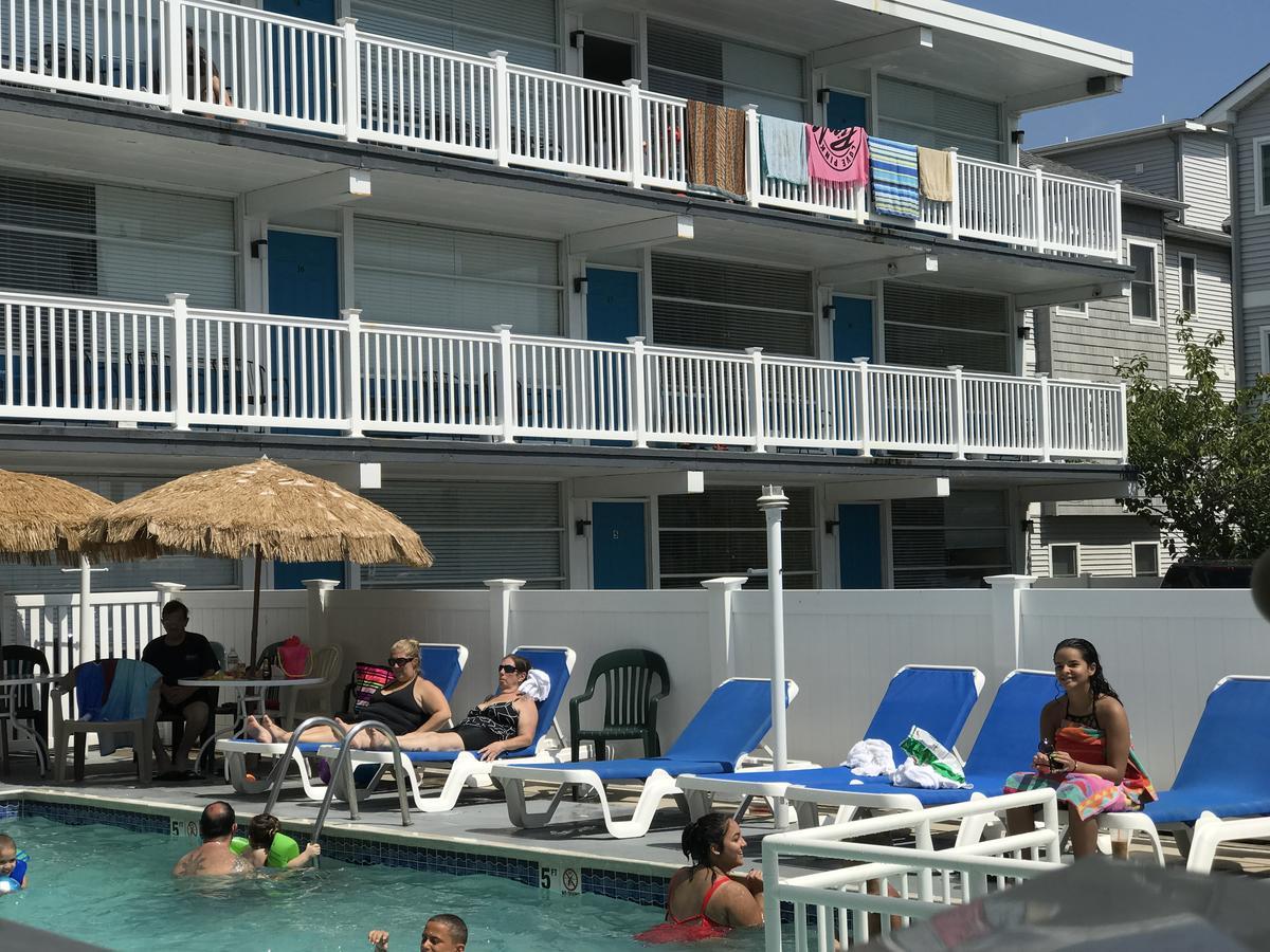 شمال وايلدوود Bird Of Paradise Motel المظهر الخارجي الصورة