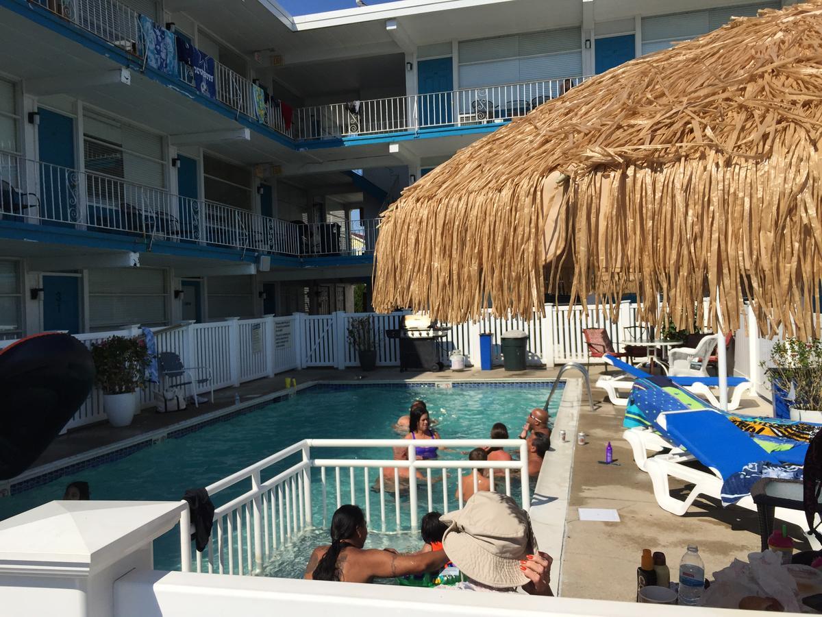 شمال وايلدوود Bird Of Paradise Motel المظهر الخارجي الصورة